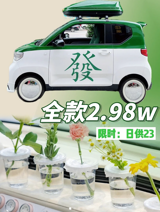 才2.98w‼️2023年我要上发财车