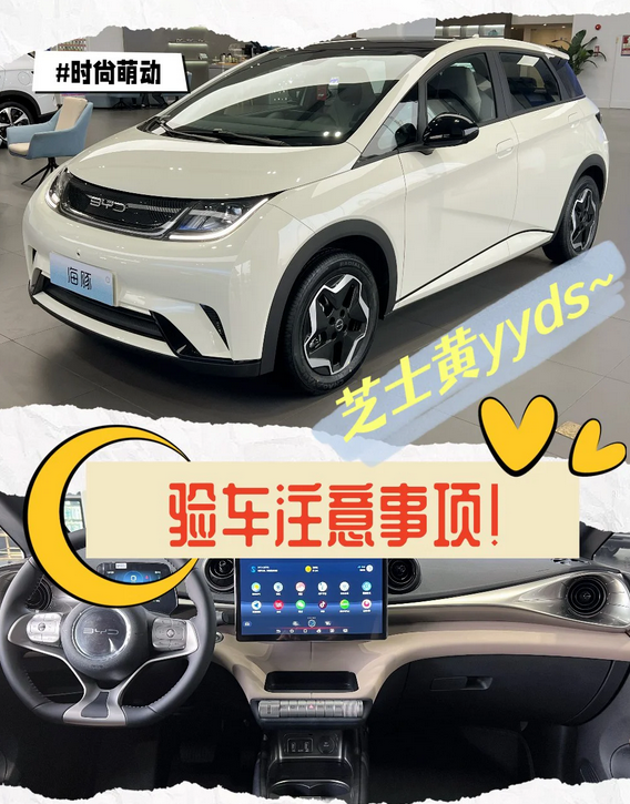 小白第一次买车⁉️比亚迪海豚验车注意事项⚠️