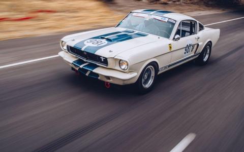 野马眼镜蛇gt350价位多少
