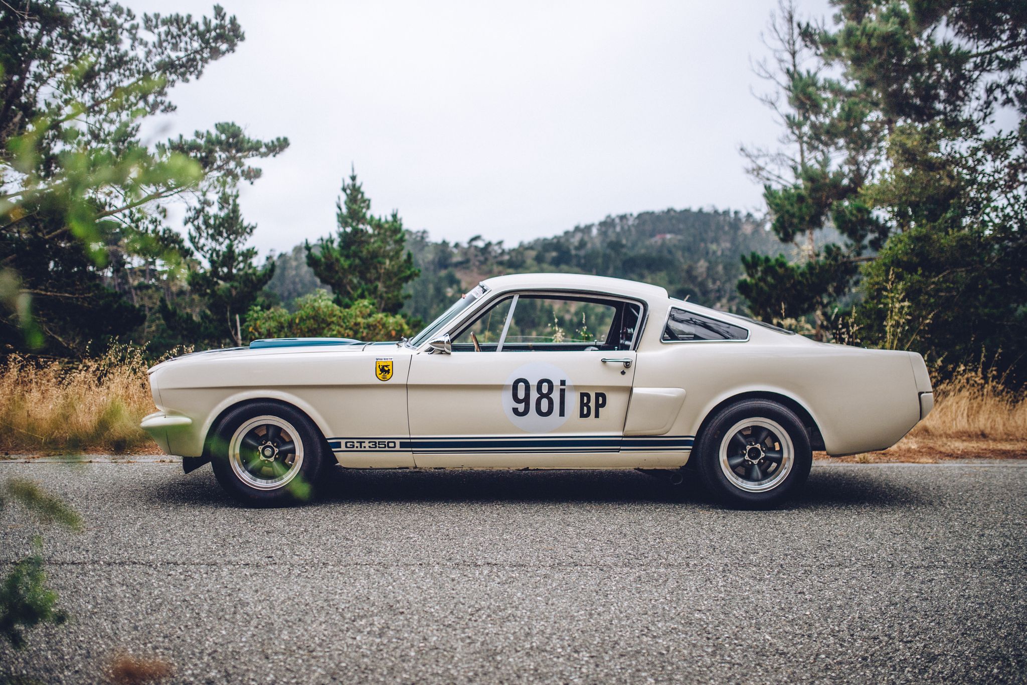 野马眼镜蛇gt350价位多少