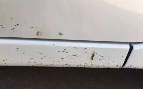 车上沥青用什么能洗掉