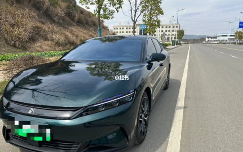 能买纯电就别买混动，不然肯定会后悔？