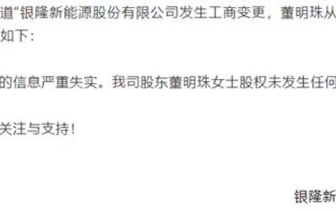 银隆新能源的现状