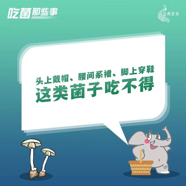 昆明新能源汽车政策