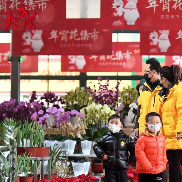 武汉市新能源汽车政策是否落地