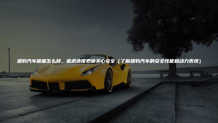 猎豹汽车质量怎么样，追求速度更需关心安全（了解猎豹汽车的安全性能和动力表现）