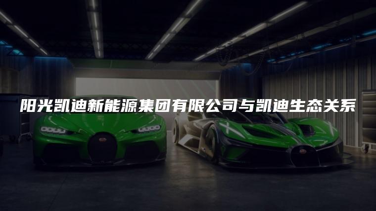 阳光凯迪新能源集团有限公司与凯迪生态关系