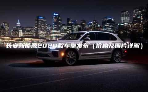 长安新能源2020款车型发布（价格及图片详解）