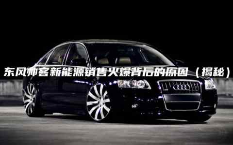 东风帅客新能源销售火爆背后的原因（揭秘）