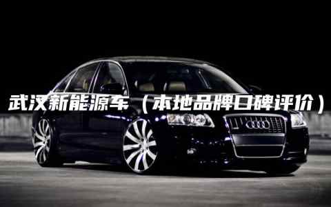 武汉新能源车（本地品牌口碑评价）