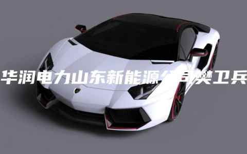 华润电力山东新能源公司樊卫兵