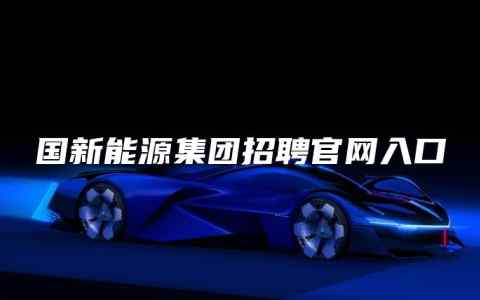 国新能源集团招聘官网入口