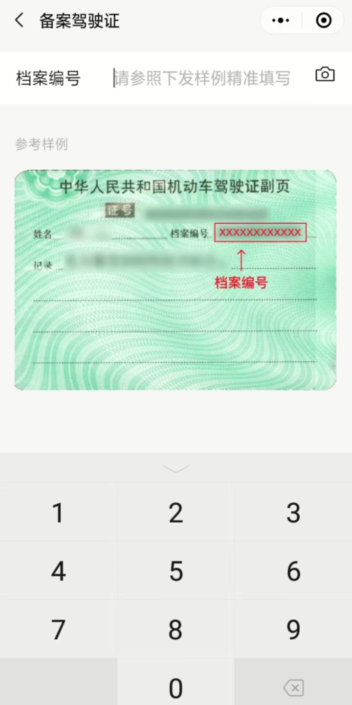 广东违章查询app（查车违章下载什么软件）