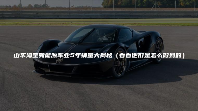 山东海宝新能源车业5年销量大揭秘（看看他们是怎么做到的）
