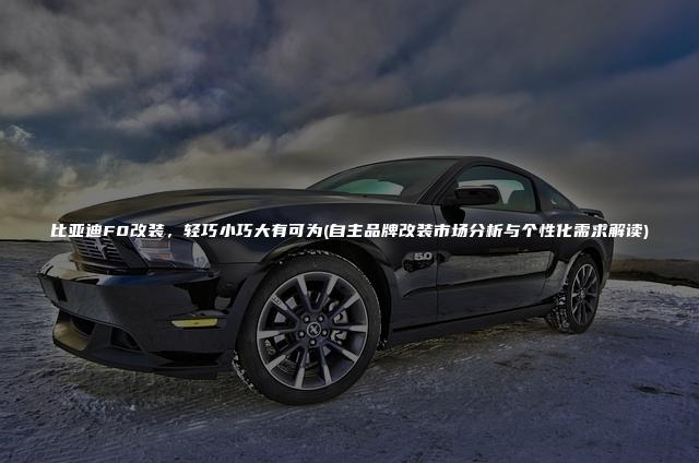 比亚迪F0改装，轻巧小巧大有可为(自主品牌改装市场分析与个性化需求解读)
