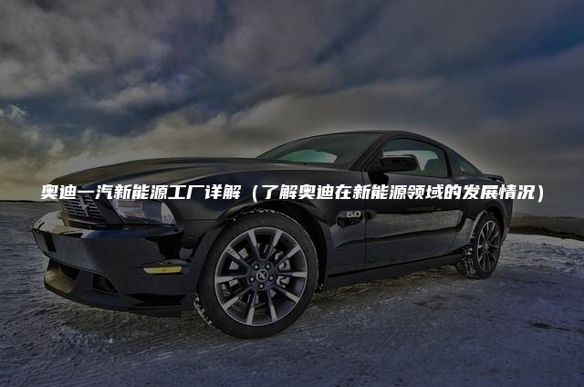 奥迪一汽新能源工厂详解（了解奥迪在新能源领域的发展情况）