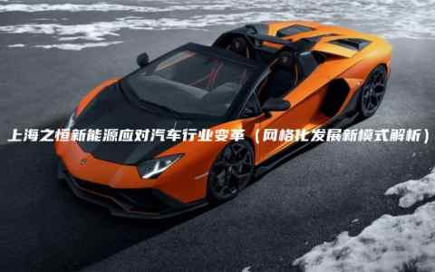 上海之恒新能源应对汽车行业变革（网格化发展新模式解析）