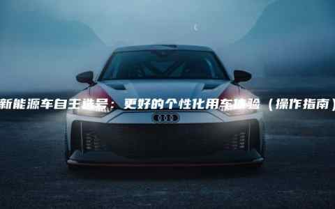 新能源车自主选号：更好的个性化用车体验（操作指南）