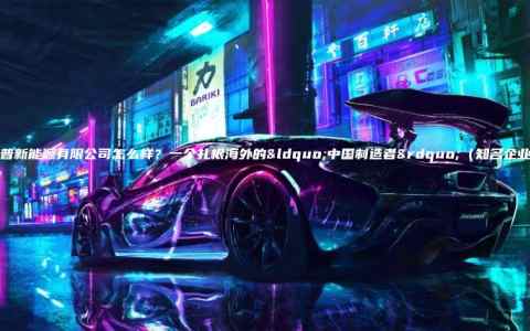 天德普新能源有限公司怎么样？一个扎根海外的“中国制造者”（知名企业介绍）