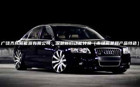 广饶齐成新能源有限公司：深耕新旧动能转换（市场前景和产品特色）