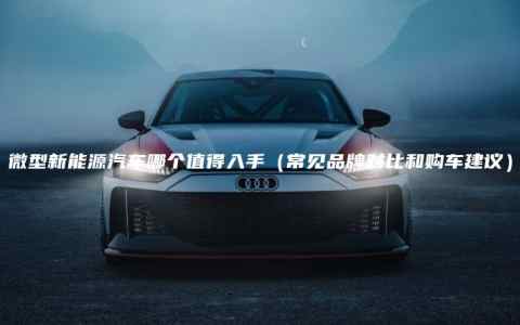 微型新能源汽车哪个值得入手（常见品牌对比和购车建议）