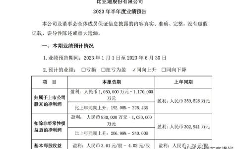 2023年一季度比亚迪营收（比亚迪2023上半年财报）