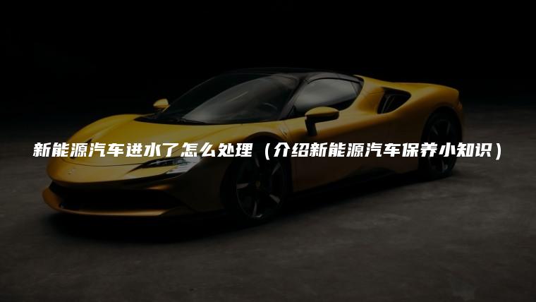 新能源汽车进水了怎么处理（介绍新能源汽车保养小知识）