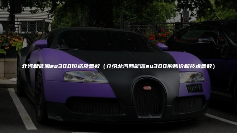 北汽新能源eu300价格及参数（介绍北汽新能源eu300的售价和技术参数）