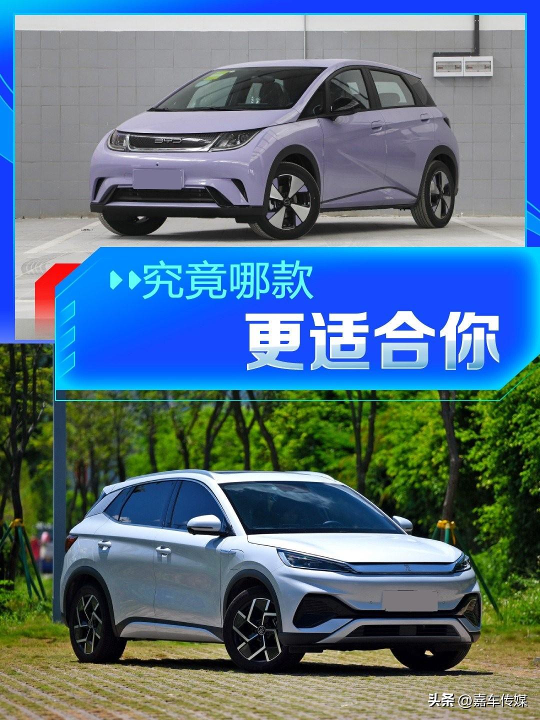 比亚迪元plus和海豚哪个好（元plus最受欢迎的颜色）