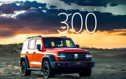 wey坦300建议买吗（越野选择300还是500）