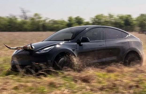 特斯拉suv30万左右（特斯拉的suv有哪几款）