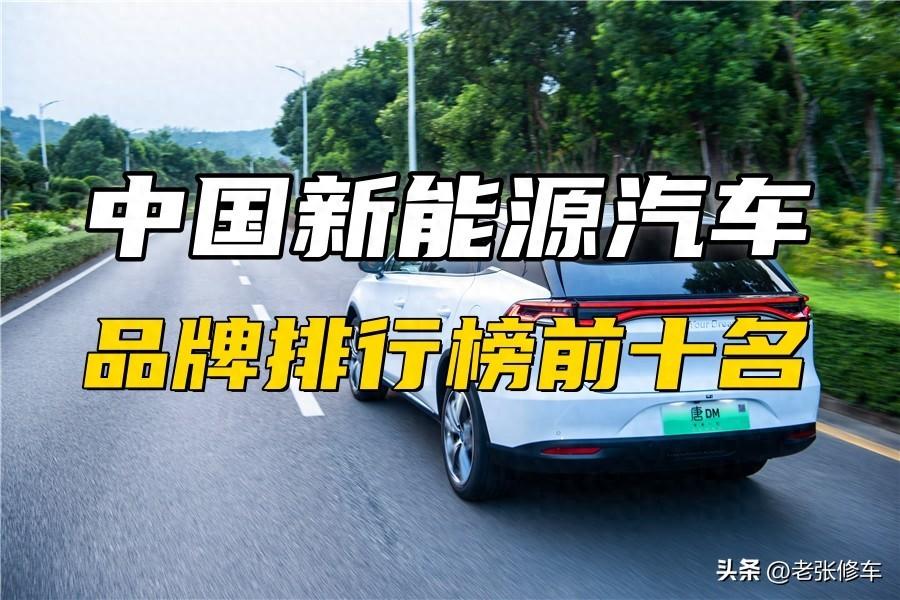 中国电动汽车十大名牌（纯电车买哪个牌子好）