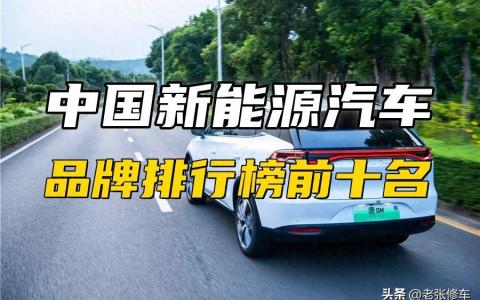 中国电动汽车十大名牌（纯电车买哪个牌子好）