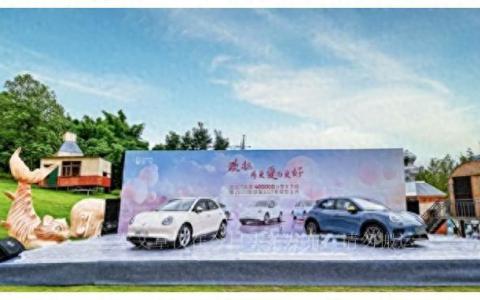 欧拉好猫图片及价格（欧拉最新款6万）