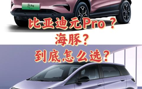 比亚迪元pro值得买吗（10万买元pro还是海豚）