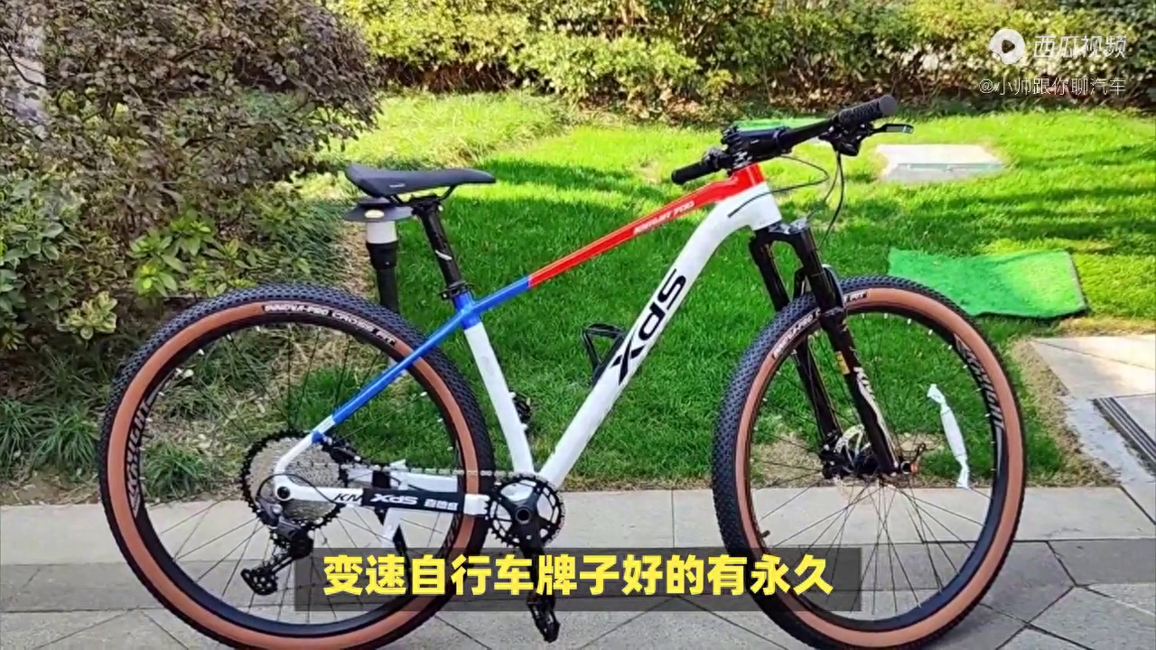 国产最好的自行车品牌排行（国产自行车性价比最高的）