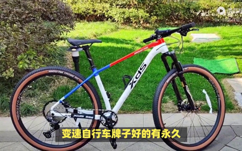 国产最好的自行车品牌排行（国产自行车性价比最高的）