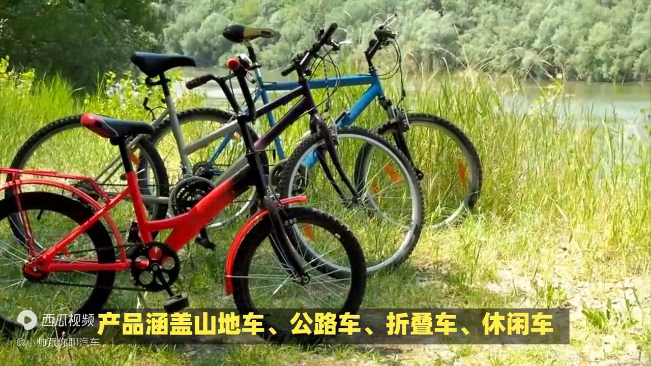 国产最好的自行车品牌排行（国产自行车性价比最高的）