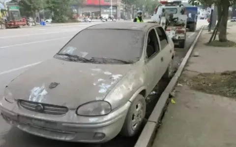 车放多久要启动一下比较好（汽车一周启动一次10分钟够吗）