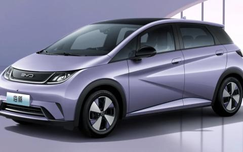 十大不建议买的海豚车（海豚底盘容易磕到吗）