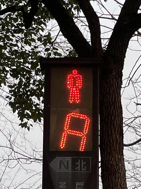 什么情况下红灯可以右转图解（怎么判断路口能不能右转）