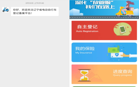 电动车上牌后一直没发行驶证（个人名下电动自行车查询）