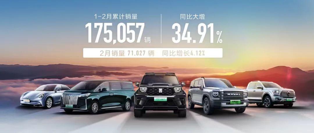 中国纯电车十大品牌排名第一