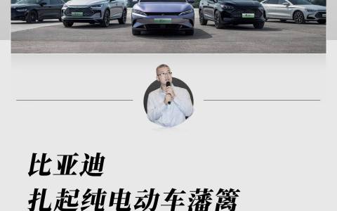 比亚迪扎起纯电动车藩篱