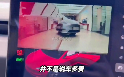 纯电车哪个品牌好?