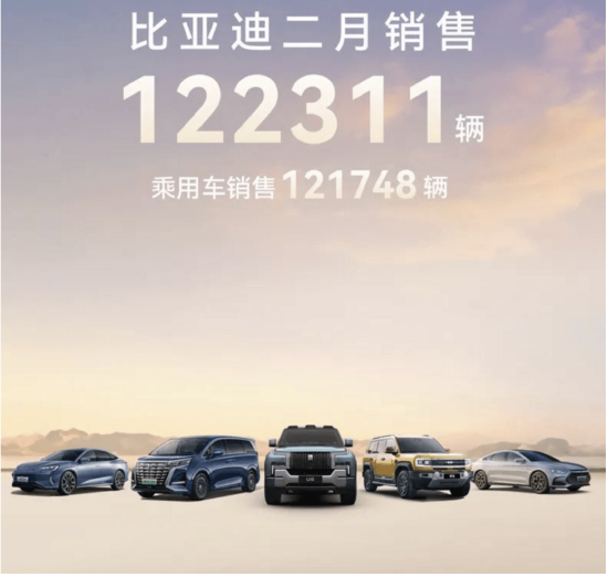 中国纯电车十大品牌排名第一