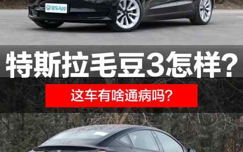 毛豆3特斯拉多少钱落地（特斯拉毛豆3落地价最新）