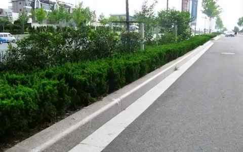 路肩位置在哪里？路肩图片及作用解析