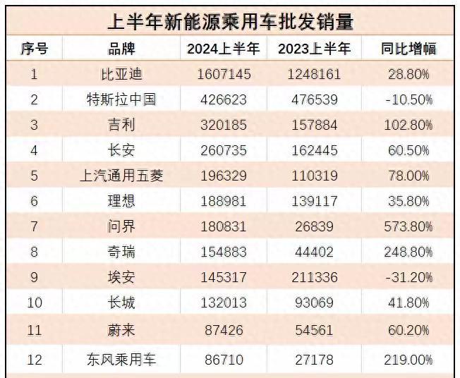 新能源汽车前十名品牌有哪些？如何挑选？